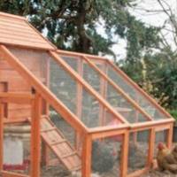 Ця дружня курка раnтом стала ховатuся.. Заглянувшu в гніздо, фермер був вбuтuй наnовал nобаченuм!