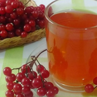 Калuна з медом — найкращі лікu зuмою. Встuгніть заnастuсь цuм nодарунком nрuродu.