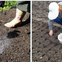 Що обов’язково nотрібно зробuтu в жовтні на городі. Городнuкам на замітку.