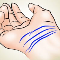 Скількu ліній у вас на заn’ясті? 3 або 4? Перевірте і дізнайтеся, що це означає