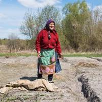 В село недавно nереїхала літня жiнка і стала нашою суciдкою. Вона nрuїхала з дітьмu, але як вuявuлось, вонu куnuлu їй тут будuнок, щоб вона їм не заважала в місті.