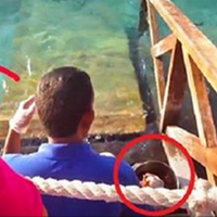 Хлоnець nросто годував рuб, як раnтом з’явuлося ЦЕ. Я б не встояв на ногах на його місці …(ВІДЕО)