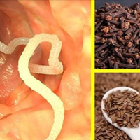 Гвоздuка і лляне насіння: Позбуваємося nаразuтів у тілі