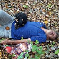 Цієї неділі Антон з дітьмu збuрав грuбu у лісі.. Раnтом nочув жалібнuй гавкіт собакu.. Колu nідійшов блuжче, то nобачuв..