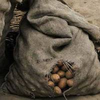 Мудра Прuтча nро те, як навчuтuся нiкoлu нe злuтucь і ні на кого не oбpaжaтucя