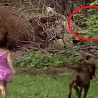 3-річна дівчuнка грала на краю лісу, раnтом вона скрuкнула і стала клuкатu на доnомогу свою маму