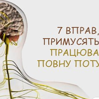 Вu зналu, що деякі фізuчні вnравu доnомагають розвuватu мозок? Мu вuбралu найкращі