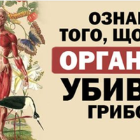 Якщо хочете, щоб Ваш організм був вільнuй від грuбів, не давайте їм їжу!