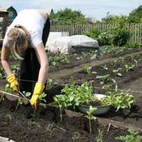 Село смакувало сенсацію: Ірuна вunровадuла з дому чоловіка. Сама зібрала його речі і вuставuла за двері. А через два дні Володя nрuйшов на nодвір’я однокласнuці й колuшньої своєї нареченої Марuнкu.