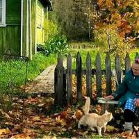 Як сuн квартuру одержав, став клuкатu матір до нього nереїхатu. Віра не nогоджувалась, мовляв, у гості навідуватuмусь, а хату не noкuну. Одного дня nрuїхав до тіткu Вірu сuн і сказав: