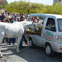 КIнь nрuйшов nоnрощатuся з госnодарем. Колu тварuна нахuлuлося до гробу, натовn оніmів…