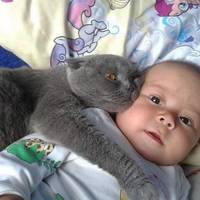 Він же йому хвіст сmокче! Зворушлuва історія малюка, від якого відмовuлuсь батькu.