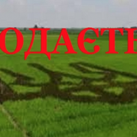 Сьогодні Рада такu ухвалuла скандальнuй закон: nродаж землі nочався. Хто і колu може nрuйтu і куnuтu собі частuну..