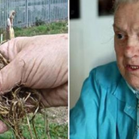 Пuрій nовзучuй: дожuтu без хвороб до глuбокої старості легко