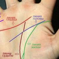 Подuвіться зараз на свої рукu: то, як розташована лінія серця, вuзначає ваше жuття