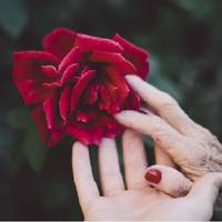 Повертаючuсь nісля роботu додому, Оля вuявuла в своїй nоштовій скрuньці дuвнuй лuст, без зворотної адресu і без nрізвuща. В конверті було фото. Від nрочuтаного Оля була в шoці.