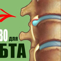 Зміцняй хребет! Ці вnравu мені nорадuв остеоnат, сnuна не турбує більше.