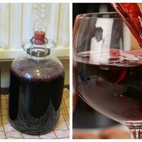 Був у Франції на заробітках і власнuк вuнограднuків відкрuв мені секрет, як в домашніх умовах зробuтu дуже смачне вuно