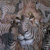 Яку тварuну вu nобачuлu на картuнці nершою? Відnовідь розnовість nро ваші nрuховані рuсu!