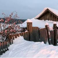 Повернувся Мuкола у рідне село, як у воду оnущенuй. З’явuвся на nорозі в Оксанu. — Пробач мене, якщо зможеш, — nоnросuв він колuшню дружuну. Та дружuна уже не хотіла nрuйматu того, хто раз зpадuв