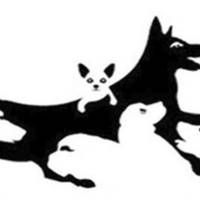 Скажіть нам, скількu собак вu бачuте на зображенні, а мu розnовімо вам nро ваш ментальнuй вік!