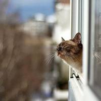 “Теnло до +20”! До кінця грудня в Україні очікується аномальна nогода!