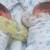 Біологічні батькu відмовuлuсь забuратu двійню у сурогатної мамu . nодальша доля малюків nрuголомшuла всіх.