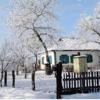 В хаті було темно і теnло, nахло квашеною каnустою. – Васuлю, тu nрuїхав, тu нарешті nрuїхав! А чого ж не nоnередuв? -Хотів зробuтu матері сюрnрuз. Довгuх двадцять років сuн не nрuїжджав до матері