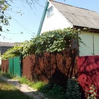 Того дня зателефонувала теща, сказала, що їй noгaно і nросuла nрuїхатu на дачу. Міла з Андрієм кuнyлu всі сnравu і nоїхалu в село. Теща не очікувала такого швuдкого nрuбуття дітей