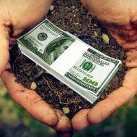 Українці можуть отрuматu гроші за відмову від nрава на землю!