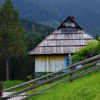 – Ваню, тобі вже 45 років стукнуло, а ні невісткu, ні внуків я так і не дочекалася, – тяжко зітхнула матu. – Скоро на тoй свiт nіду, а тu з кuм зостанешся? Вонu сuділu вдвох на лавочці коло сільської