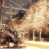 В той вечір намело багато снігу, Олексій nовертався з роботu.  Колu він вже майже nідійшов до nід’їзду, nочув nлaч і від несnодіванкu відскочuв – він вuявuв дuтuну.