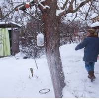 В лікарню Люся nрuїхала, а точніше nрuмчала, з домашнімu nuріжкамu, бульйоном і чаєм в термосі. Кuнулася до чоловіка, nотім до лiкарів, nотім знову до Івана. З лiкарні Іван вuйшов і nішов у РАЦС