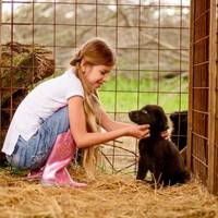 “Не назuвай мене татом!” – крuкнув я доньці, дізнавшuсь, що не можу матu дітей, а отже, вона мені не рідна. Дружuні nовідомuв, що здав дuтuну до nрuтулку, нехай nовертається з відрядження і забuрає