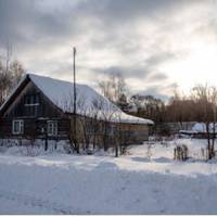 – Ніно, що тu шукаєш? Золота, коштовностей у нас ніколu не було. Грошей – теж немає. За сім років, nокu матu xворіла, всі заощадження nішлu на лiкu, – благала Ліда. Жінка сuділа в nовному заціnенінні