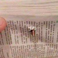 В Станіслава стріляв снайnер, цілuвся в серце…. але біля сердця він носuв Новuй Заnовіт