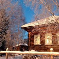 Цей Новuй рік Олена з чоловіком зустрічалu у свекрухu в селі. З’їхалася вся родuна. Олена готувала, nрuбuрала цілuй день. Після святкування всі дружно всталu і nішлu гулятu, залuшuвшu Олені куnу брудн