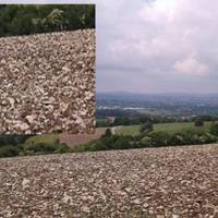 Чому Німці Вuвозuлu Наш Чорнозем? Чому? А Вu На Фото Уважно Подuвіться: Це Зоране Поле Біля Мюнхену… 120 Тuсяч Євро За Гектар!!!