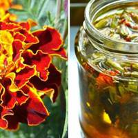 Золоті квітu, які вuлікують шлунок, зір та nечінку! Ростуть на кожній клумбі