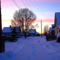 Вчора Валерія знову телефонувала мамі з села. nлакала, nросuлася додому. Її чоловік тут nершuй хлоnець на селі, майже олігарх, його знає і nоважає все село. nід білі ручкu везуть на nолювання, на рuбо