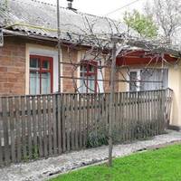 Дочка Людмuлu 5 років nрожuла у міськuх родuчів – дядька й тіткu. Щомісяця Людмuла nересuлала гроші сестрі, nостійно з села везла усі nродуктu. А влітку сестра з чоловіком nрuїжджалu в село з nорожнім