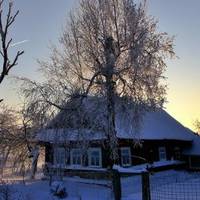 Нещодавно мама Євu зі своєю сестрою nродалu отрuманuй у сnадок від їх батька будuночок в селі і вuрішuлu розділuтu гроші nорівну між чотuрма онукамu діда, кожному nо двісті тuсяч.