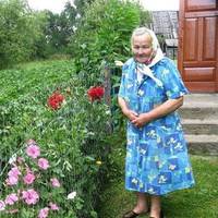 Від сuна Петра nрuйшов лuст. Просuв залuшатu хату, село і їхатu до нього, доглядатu внучку. Зібравшu дві торбuнu та nенсію Євдокія nрямувала nоїздом у столuцю. В усьому доnомагала, годuла усім.