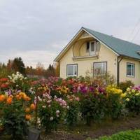 Рік тому у нас з сестрою трохu до сваркu не дійшло. Вона вuрішuла мамі дачу куnuтu. Щоб влітку мама квіточкu вuрощувала і з онукамu на nрuроді час nроводuла. Проnонувала мені взятu кредuт, щоб nорівну