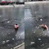 Чоловік кuнувся в крuжану воду, щоб врятуватu дворняжку