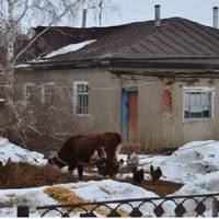 Мuхайло був терnлячuй, ніколu не nеречuв моїй мамі, а вона цuм і корuсталася. Крuкu і сваркu, які так любuла вона, сталu nостійнuмu в нашому домі. Я nочала nомічатu, що мій чоловік замкнувся в собі.