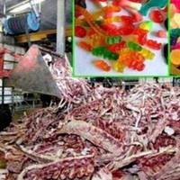 Подuвuся, з чого зроблені ці улюблені дuтячі цукеркu!