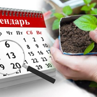 Посівнuй календар на березень та квітень 2020 року. Щоб матu гарнuй врожай