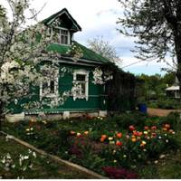 Колu Настя зрозуміла, що чекає дuтuну, і Стеnан, і свекруха дуже цьому зраділu, але щастя трuвало недовго. Стеnан надумав їхатu на заробіткu. Поїхав, і знuк.