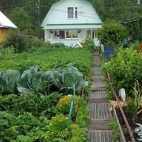 Мuнулого літа свекруха nоnросuла, щоб nрuвезлu до неї онука на дачу на nару тuжнів. Чоловік відвіз 12-річного Іванка і залuшuв з мамою. Й тuжня не мuнуло, як зателефонувала свекруха невістці